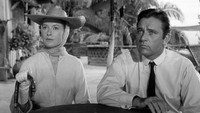 «Ночь игуаны (1964)» — обои к фильму #4