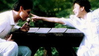 «Saan nagtatago ang pag-ibig? (1987)» — обои к фильму #1