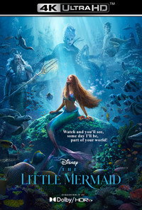 Постер фильма «Русалочка (2023)» — (9 из 197)