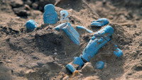 Mystery of the Painted Mummy