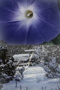 Постер фильма «Pitcher of Colored Light (2007)» — (2 из 5)