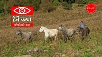 Barekotko Katha