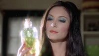The Love Witch