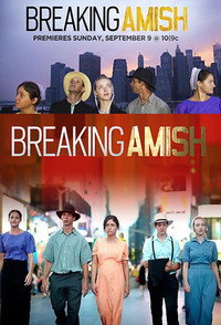 Постер сериала «Амиши: Найти новую жизнь (2012 - 2014)» — (2 из 11)