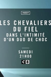 Les Chevaliers du Fiel - Dans l'intimité d'un duo de choc (2018)