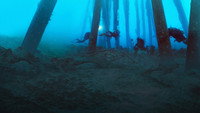 «Reef Wrecks (2016)» — обои к сериалу #1