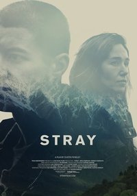 Poster de Stray