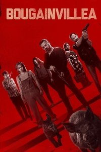 Bougainvillea 2024