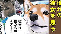 A Certain Dog`s Long Journey
