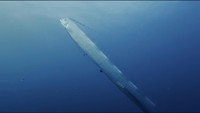 «Régalec, premiers contacts avec le poisson roi (2015)» — обои к фильму #1