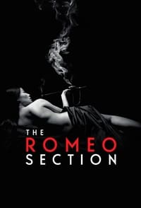 tv show poster The+Romeo+Section 2015