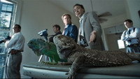 «Плохой лейтенант (2009)» — обои к фильму #7