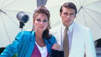 «Скрываемый факт (1984-1985)» — обои к сериалу #2