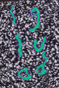 Imagem do Filme LGFUAD