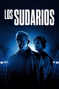 Poster de The Shrouds