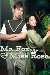 tv show poster Mr.+Fox+and+Miss+Rose 2020