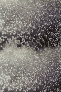 Imagem do Filme State Change (I)