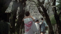Обои к фильму «Тайны тренера по фитнесу (1978)» — (12 из 19)