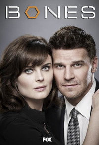 Постер сериала «Кости (2005 - 2017)» — (64 из 181)