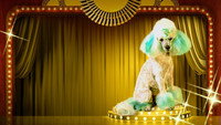 «Haute Dog (2020)» — обои к сериалу #5