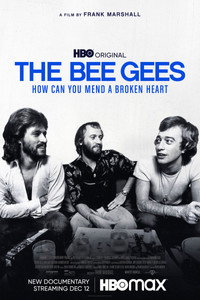 Постер фильма «История группы Bee Gees: Как собрать разбитое сердце (2020)» — (6 из 33)