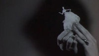 «Ожидание (1962)» — обои к мультфильму #2