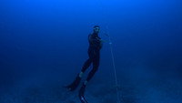 Red Sea