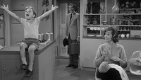 «Шоу Дика Ван Дайка (1961-1966)» — обои к сериалу #2