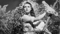 «Уличный свет (1955)» — обои к фильму #4