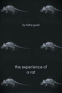 Imagem do Filme The Experience of a Rat