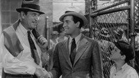 «Великолепный грубиян (1936)» — обои к фильму #1