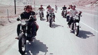 «Bad, Bad, Gang! (1972)» — обои к фильму #1