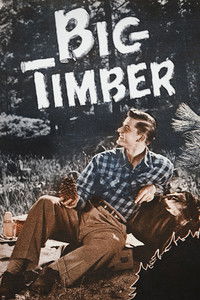 Poster de Big Timber