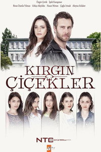 Kırgın Çiçekler (2015) poster