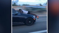 Hanging on the Hood