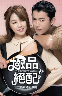 tv show poster The+Perfect+Match 2017