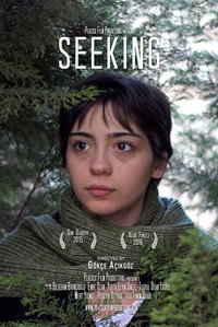 Постер к фильму Seeking (2016)