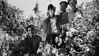 Обои к фильму «Восьмой день недели (1958)» — (23 из 27)