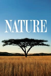 Nature Poster Artwork