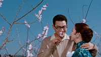 «Бродячая принцесса (1960)» — обои к фильму #1