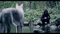 «Жива (2016)» — обои к фильму #7