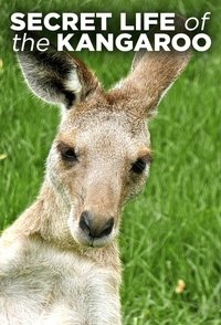Watch Secret Life of the Kangaroo - Season 1 123Movies