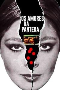 Poster de Os Amores da Pantera