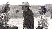 «The Return of Wildfire (1948)» — обои к фильму #1