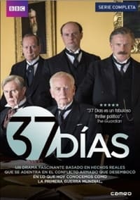 Poster de 37 Days