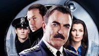 Обои к сериалу «Голубая кровь (2010 - 2024)» — (32 из 149)