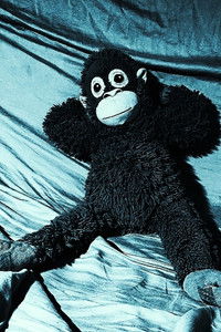 Imagem do Filme How to properly make a coursework in one day