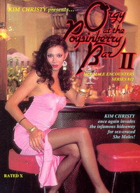 She-Male Encounters 12: Orgy at the Poysinberry Bar 2