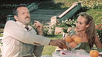«Богач, бедняк... (1982)» — обои к сериалу #1