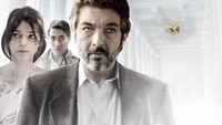 «Диссертация об убийстве (2013)» — обои к фильму #2
